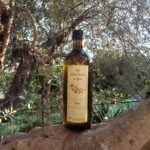 Olio Extravergine di oliva Azienda Agricola Rosa Demetrio
